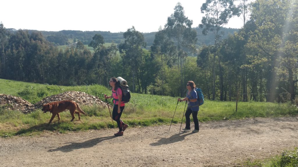 Camino de Santiago Frances, España, juanoflyer, peregrinos, sin agencia