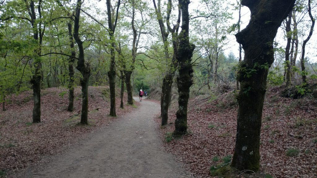 camino de santiago frances, españa, peregrinos, juanoflyer